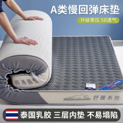 乳膠床墊租房家用地鋪睡墊學生加厚榻榻米床墊子宿捨軟墊跨境批髮