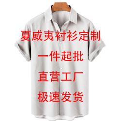 夏款3D襯衫夏威夷襯衫男士印花海邊度假襯衫貝貝古巴領短袖襯