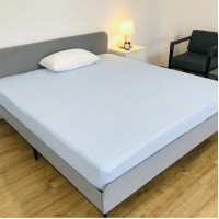 夏季涼感床包 冰絲冷感涼蓆 枕墊