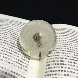 創意蒲公英乾花標本水晶球樹脂天然木質工藝品擺件家居裝飾品禮物
