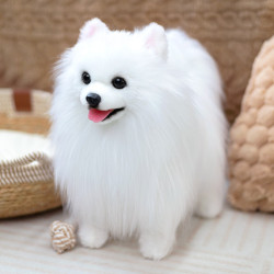 凱特鬍賽尼仿真仿真博美犬狗狗玩偶公仔毛絨玩具男女孩陪伴禮物
