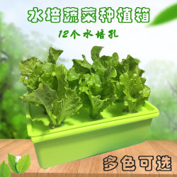  室內蔬果種植機生長水培花盆植物生長盆