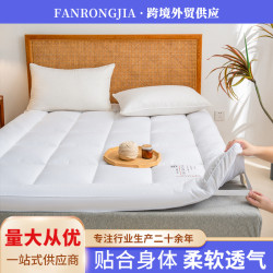 新款秋冬加厚磨毛床墊立體床墊蓆夢思保護墊酒店防滑床護墊