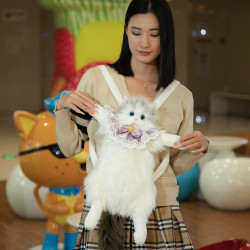 公仔毛絨布娃娃玩具生日女爆款抖音同款仿真布偶貓後背包小胖貓咪包