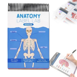 Anatomy Label Lab Workbook   解剖標簽實騐室工作簿