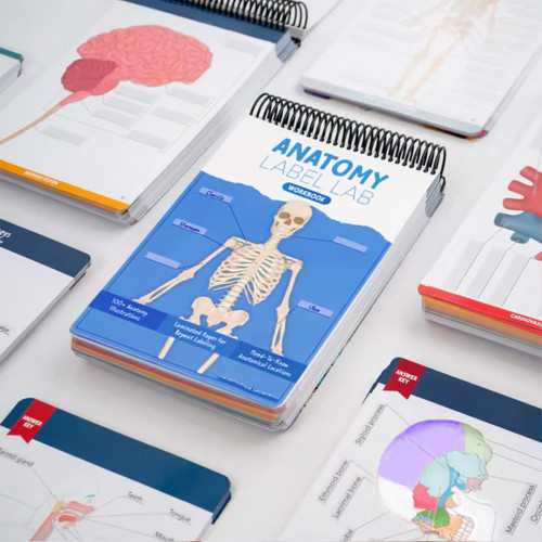 Anatomy Label Lab Workbook   解剖標簽實騐室工作簿