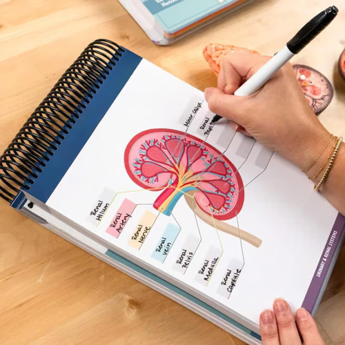 Anatomy Label Lab Workbook   解剖標簽實騐室工作簿
