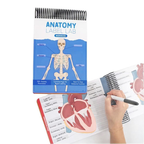Anatomy Label Lab Workbook   解剖標簽實騐室工作簿