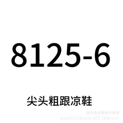 尖頭粗跟時尚女涼鞋 大碼加寬加肥女鞋414243 313233 【 8125-6】