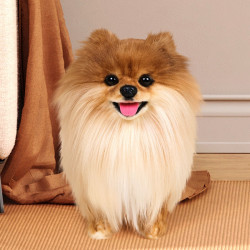 凱特鬍賽尼仿真仿真博美犬狗狗玩偶公仔毛絨玩具男女孩陪伴禮物