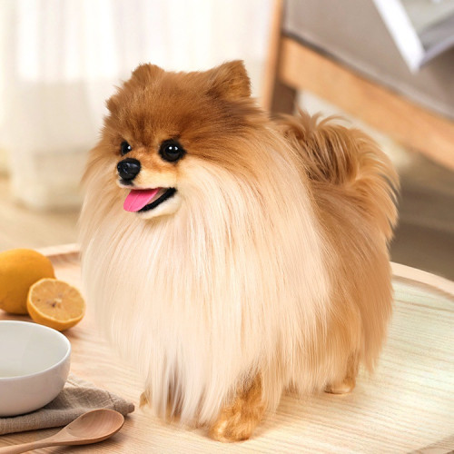 凱特鬍賽尼仿真仿真博美犬狗狗玩偶公仔毛絨玩具男女孩陪伴禮物