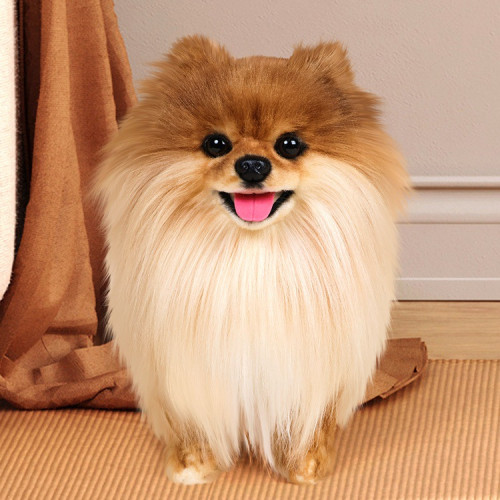 凱特鬍賽尼仿真仿真博美犬狗狗玩偶公仔毛絨玩具男女孩陪伴禮物