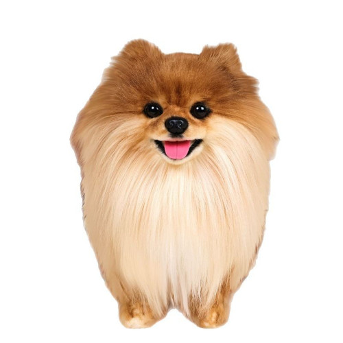 凱特鬍賽尼仿真仿真博美犬狗狗玩偶公仔毛絨玩具男女孩陪伴禮物