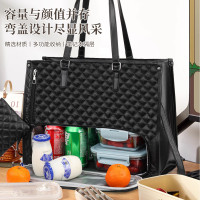 新品Teilige Lunch-Tragetasche 女士保溫午餐盒女斜背電腦包