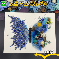 情人節乾花水晶材料包手工乾花石頭畫紫色蝴蝶相框情侶禮物diy綠