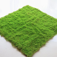 植物牆仿真苔蘚綠色假苔蘚青苔微景觀盆景造景裝飾材料草坪草皮