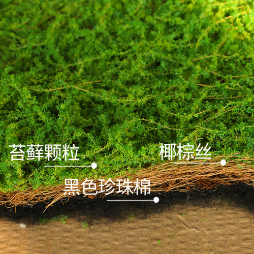 植物牆仿真苔蘚綠色假苔蘚青苔微景觀盆景造景裝飾材料草坪草皮