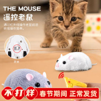 抖音爆款新奇特仿真遙控動物紅外線整蠱遙控小老鼠惡搞整蠱玩具