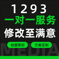 vip1293
