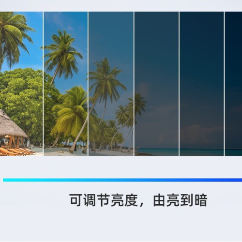 2025新款太陽眼鏡歐美風東南亞跨境電商貨源批髮朋克個性偏光墨鏡
