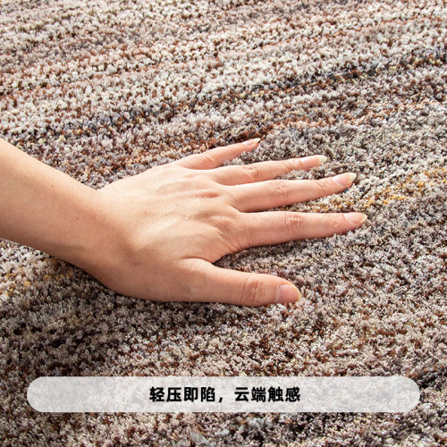 地毯加厚超細纖維浴室地墊家用衛生間門口tpr防滑腳墊植絨地毯墊