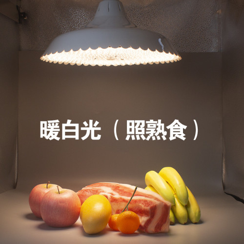 420珠貼片燈2023年新款生鮮燈吊燈吊燈超市食品專用燈