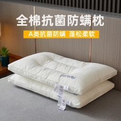 A類枕頭枕芯家用護頸椎助睡眠一對套裝學生宿舍超柔低枕酒店專用