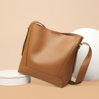 水桶包女2024新款單肩斜背大容量小衆軟牛皮秋冬托特包百搭