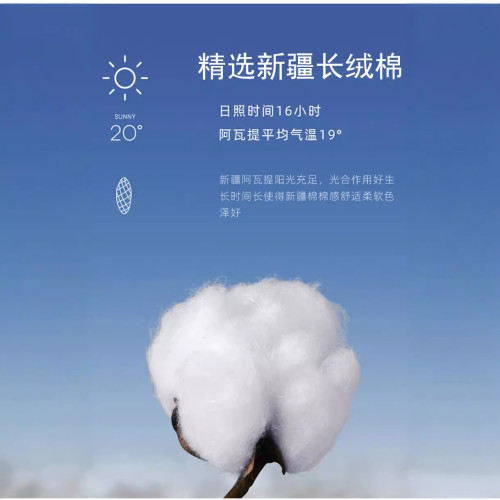 2024年夏季新款100%純棉短袖t恤男士圓領中青年純色上衣打底衫男