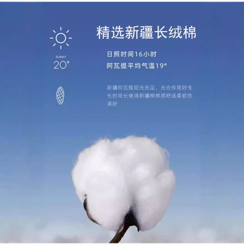 2024秋季半拉鍊立領男士衛衣中青年時尚潮流百搭長袖男運動上衣