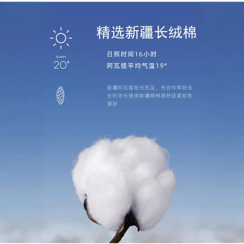 2024秋季男士長袖中青年爸爸打底上衣純色翻領棉質POLO衫潮流款