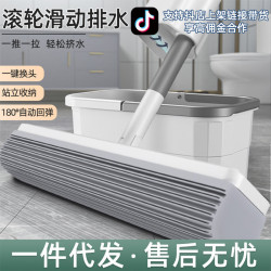 免手洗家用乾溼兩用膠棉頭吸擠水地拖布海綿懶人吸水拖把