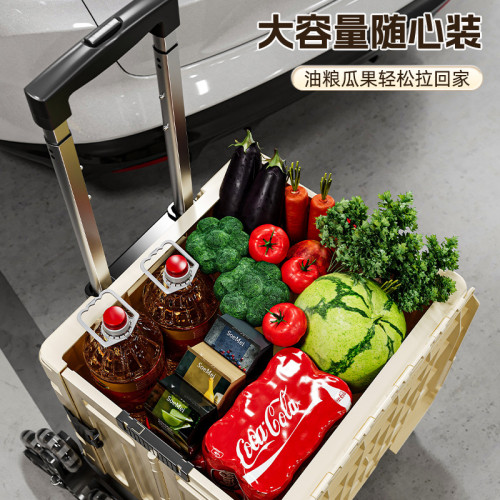 戶外可攜式可折曡拉桿箱超市買菜爬樓快遞露營擺攤加厚加固手推車