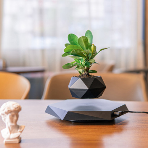 Magnetic Levitation Hexagonal Floating Flower Pot Christmas
