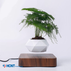 客廳家居擺件網紅創意工藝品植物盆景磁懸浮盆栽花盆綠植