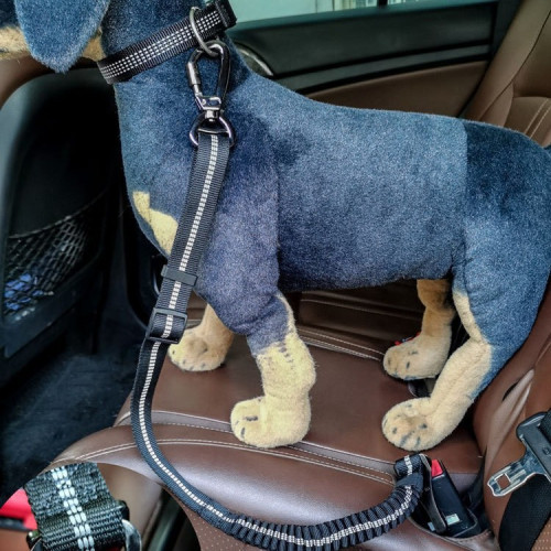 中大型犬大狗3M反光緩沖伸縮狗狗車用牽引繩寵物汽車安全帶