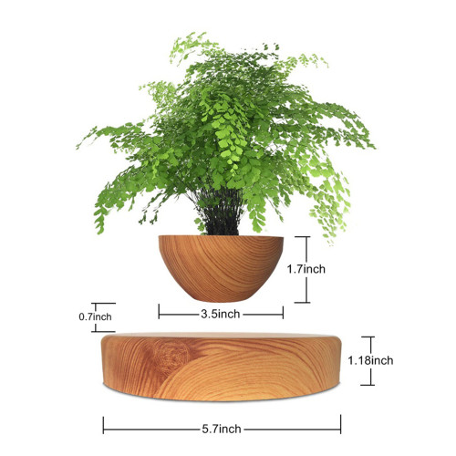 磁懸浮盆栽盆景植物擺件專利設計