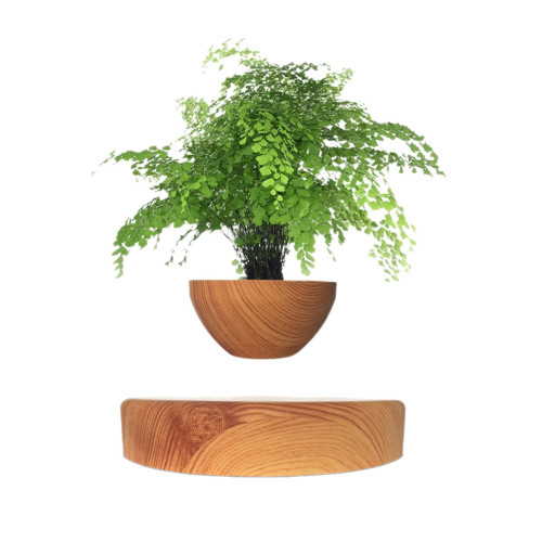 磁懸浮盆栽盆景植物擺件設計