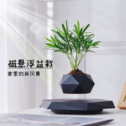 磁懸浮盆栽新奇特花盆創意盆景工藝品禮品教師節禮物客廳擺件