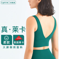 Lycra萊卡深V美背瑜珈運動內衣歐美高領健身文胸聚攏運動背心女夏