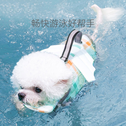 狗狗泳衣救生衣泰迪比熊柯基金毛小型中型大型犬寵物遊泳專用