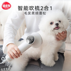 寵物吹風機拉毛一體狗狗吹毛貓咪梳毛速乾泰迪洗澡小型犬專用