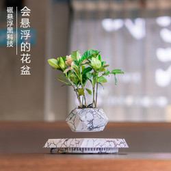 家磁懸浮盆栽磁懸浮花盆創意擺件