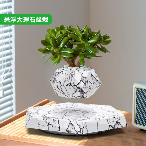 家磁懸浮盆栽磁懸浮花盆創意擺件