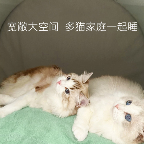 貓窩秋冬封閉式貓別墅多寵家庭保暖蒙古包玩睡一體窩小型犬寵物窩