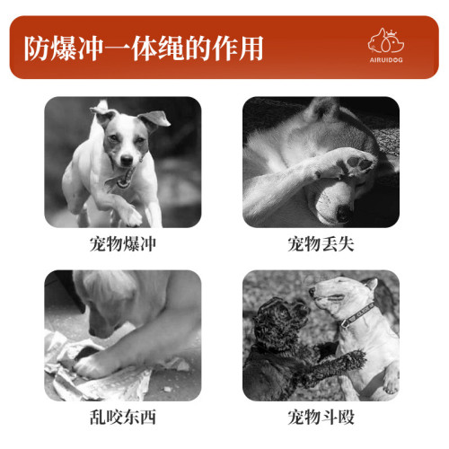 寵物牽引繩訓練專用反光P繩狗狗牽引繩可調節一體式遛狗繩子
