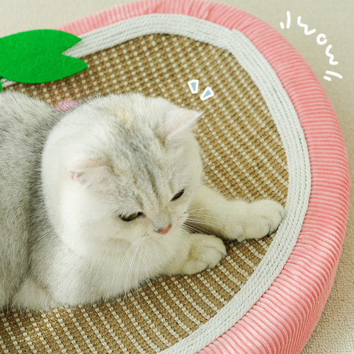 草莓麻墊貓抓盆沙發貓窩一體不掉屑耐磨貓咪磨爪防潮四季通用 草莓麻墊貓抓盆沙發貓窩一體不掉屑耐磨貓咪磨爪防潮四季通用