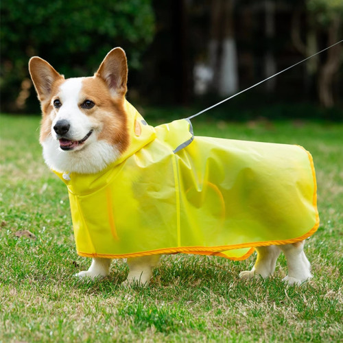 狗狗雨衣中小型犬臘腸犬雨天外出遛狗防水防髒狗雨披柯基寵物衣服