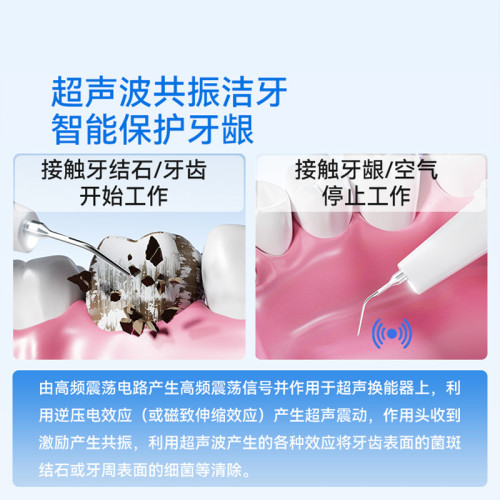 寵物五檔可調節電動潔牙器狗狗牙結石清潔牙垢貓咪專用超音波潔牙
