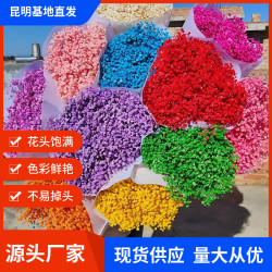 永生花半乾滿天星家居婚慶裝飾擺件花束拍攝道具禮物製作插花